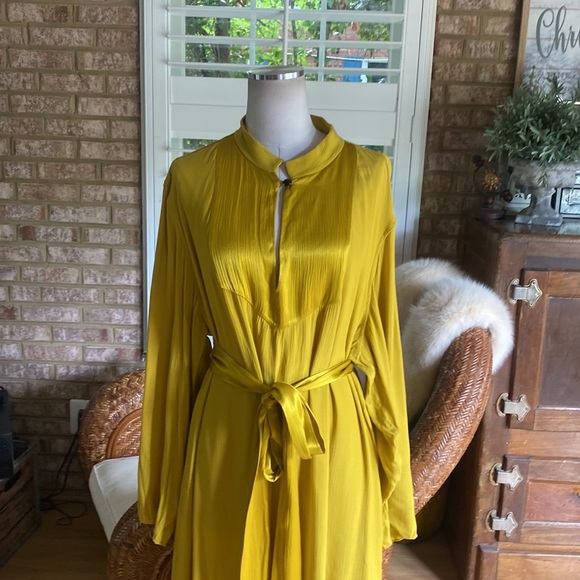 LOULOU DE LA FALAISE DESIGNER BELTED DRESS 2X NEW LAGENLOOK - Picture 6 of 12